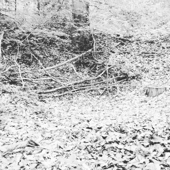 IMG_20160524_113309[1]