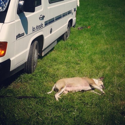 IMG_20160803_154519[1]