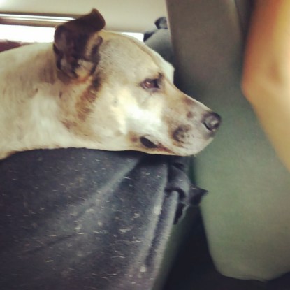 img_20160909_0853021